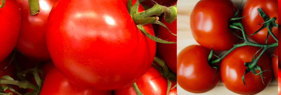 tomatenallergene